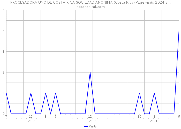 PROCESADORA UNO DE COSTA RICA SOCIEDAD ANONIMA (Costa Rica) Page visits 2024 