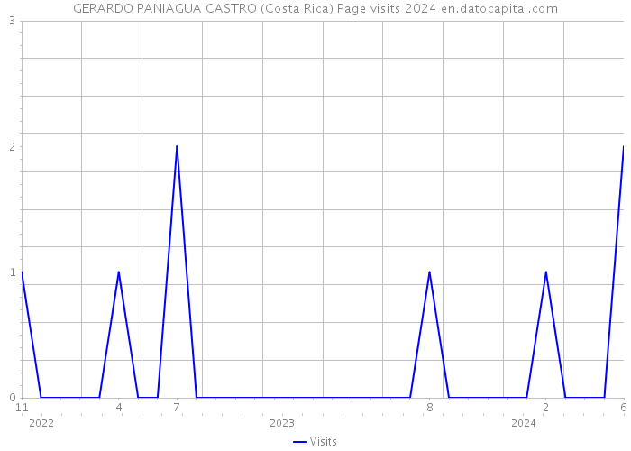 GERARDO PANIAGUA CASTRO (Costa Rica) Page visits 2024 