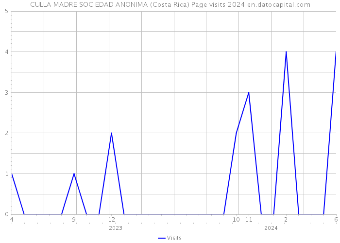 CULLA MADRE SOCIEDAD ANONIMA (Costa Rica) Page visits 2024 
