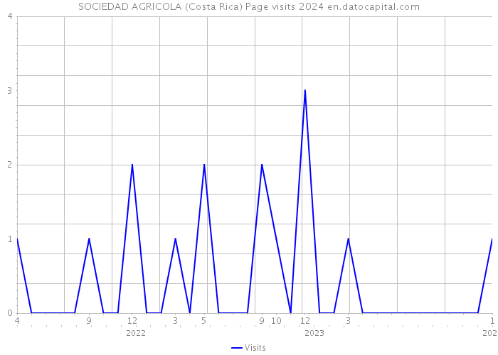 SOCIEDAD AGRICOLA (Costa Rica) Page visits 2024 