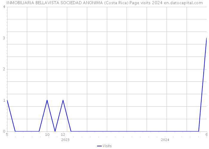 INMOBILIARIA BELLAVISTA SOCIEDAD ANONIMA (Costa Rica) Page visits 2024 