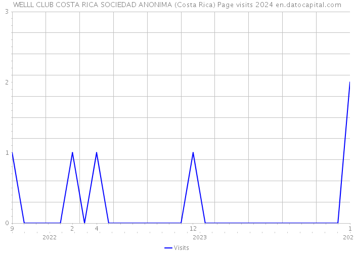 WELLL CLUB COSTA RICA SOCIEDAD ANONIMA (Costa Rica) Page visits 2024 