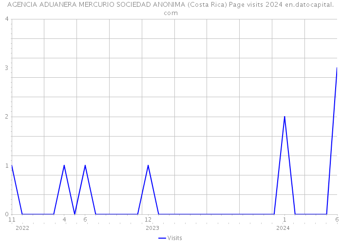 AGENCIA ADUANERA MERCURIO SOCIEDAD ANONIMA (Costa Rica) Page visits 2024 