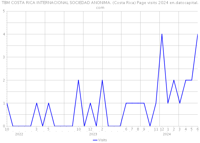 TBM COSTA RICA INTERNACIONAL SOCIEDAD ANONIMA. (Costa Rica) Page visits 2024 