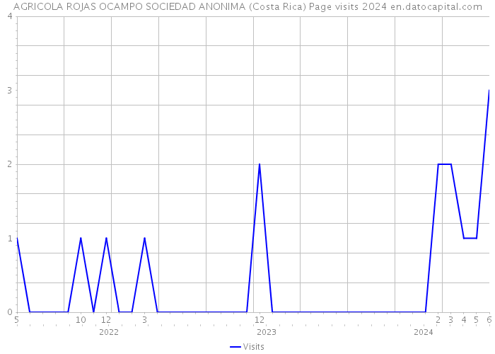 AGRICOLA ROJAS OCAMPO SOCIEDAD ANONIMA (Costa Rica) Page visits 2024 