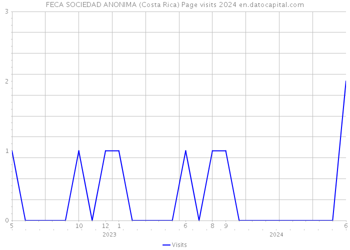 FECA SOCIEDAD ANONIMA (Costa Rica) Page visits 2024 