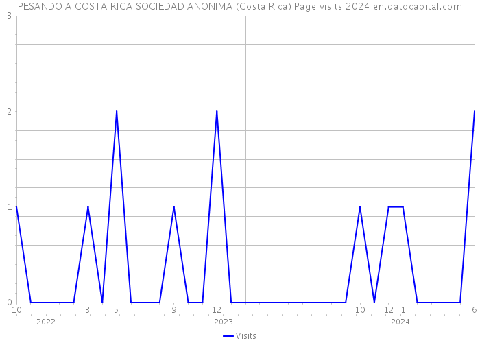 PESANDO A COSTA RICA SOCIEDAD ANONIMA (Costa Rica) Page visits 2024 