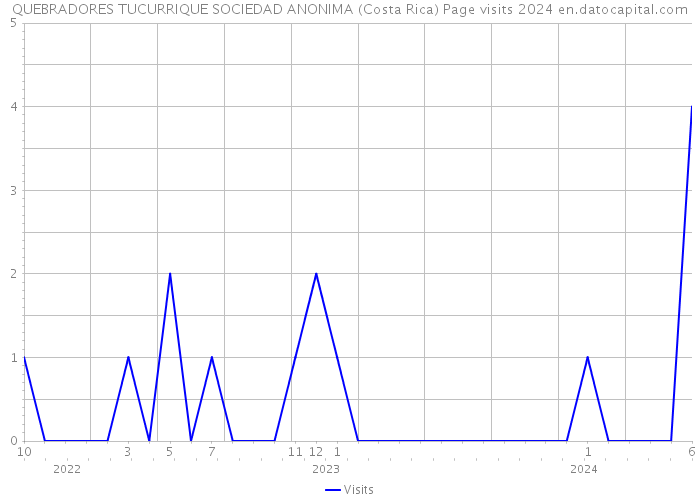 QUEBRADORES TUCURRIQUE SOCIEDAD ANONIMA (Costa Rica) Page visits 2024 