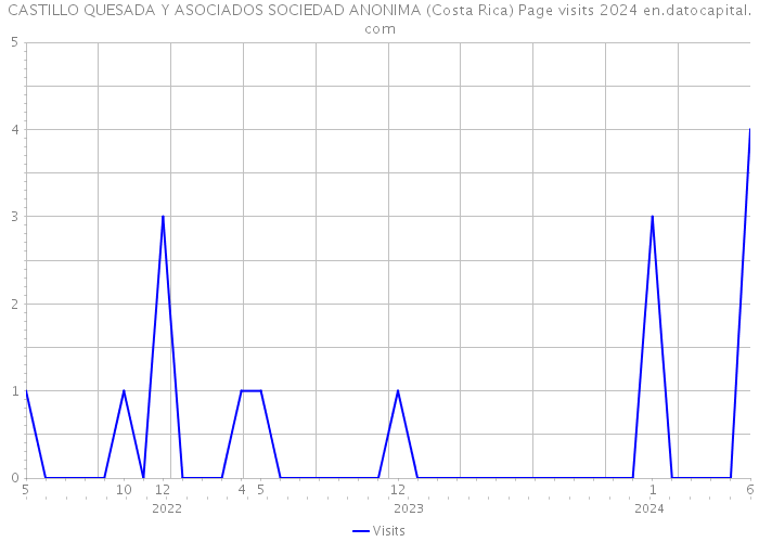 CASTILLO QUESADA Y ASOCIADOS SOCIEDAD ANONIMA (Costa Rica) Page visits 2024 