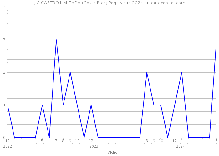 J C CASTRO LIMITADA (Costa Rica) Page visits 2024 