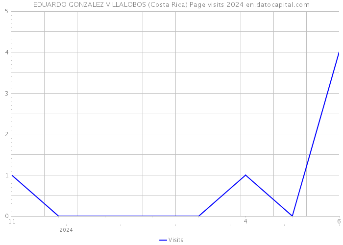 EDUARDO GONZALEZ VILLALOBOS (Costa Rica) Page visits 2024 