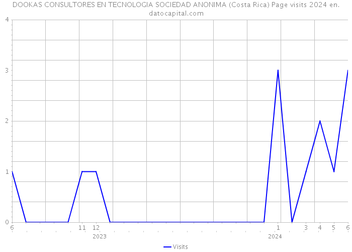 DOOKAS CONSULTORES EN TECNOLOGIA SOCIEDAD ANONIMA (Costa Rica) Page visits 2024 