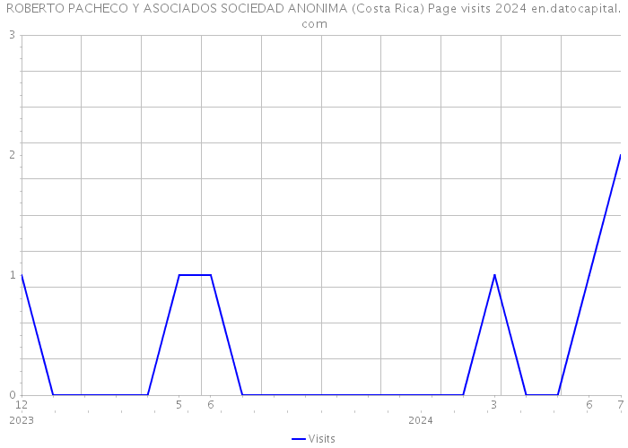 ROBERTO PACHECO Y ASOCIADOS SOCIEDAD ANONIMA (Costa Rica) Page visits 2024 
