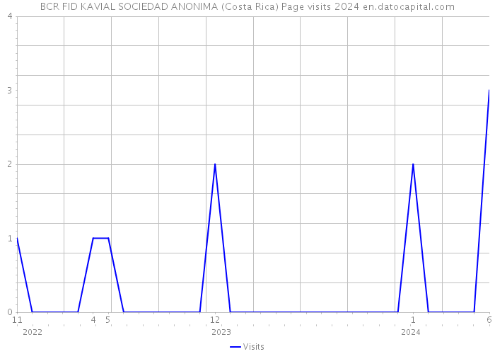 BCR FID KAVIAL SOCIEDAD ANONIMA (Costa Rica) Page visits 2024 