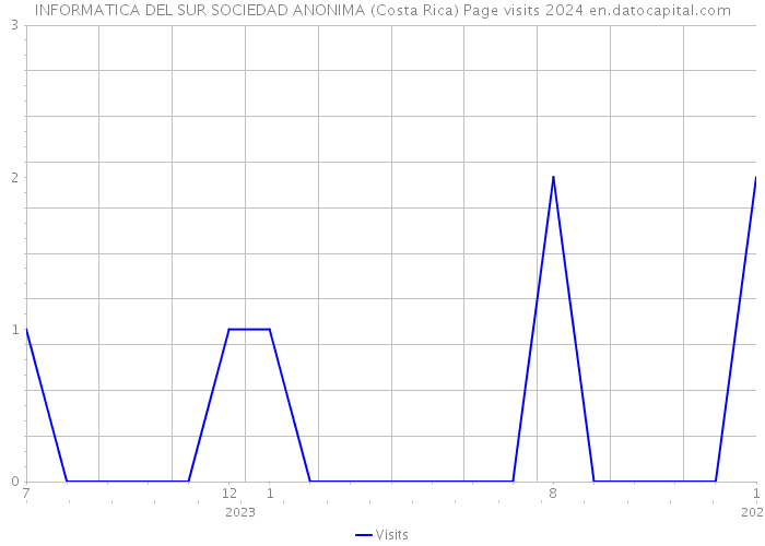 INFORMATICA DEL SUR SOCIEDAD ANONIMA (Costa Rica) Page visits 2024 