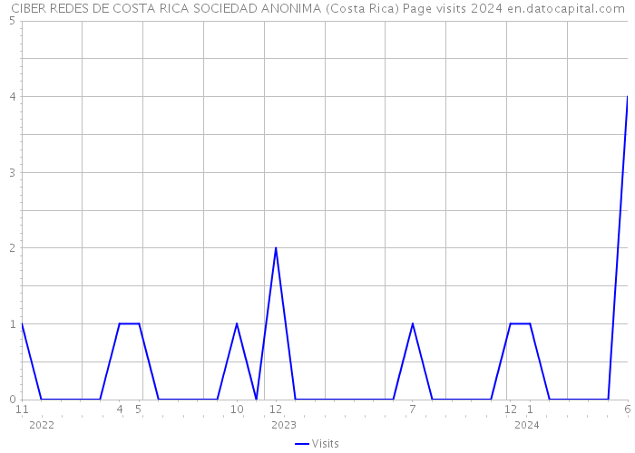 CIBER REDES DE COSTA RICA SOCIEDAD ANONIMA (Costa Rica) Page visits 2024 