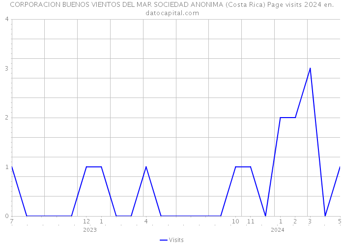 CORPORACION BUENOS VIENTOS DEL MAR SOCIEDAD ANONIMA (Costa Rica) Page visits 2024 