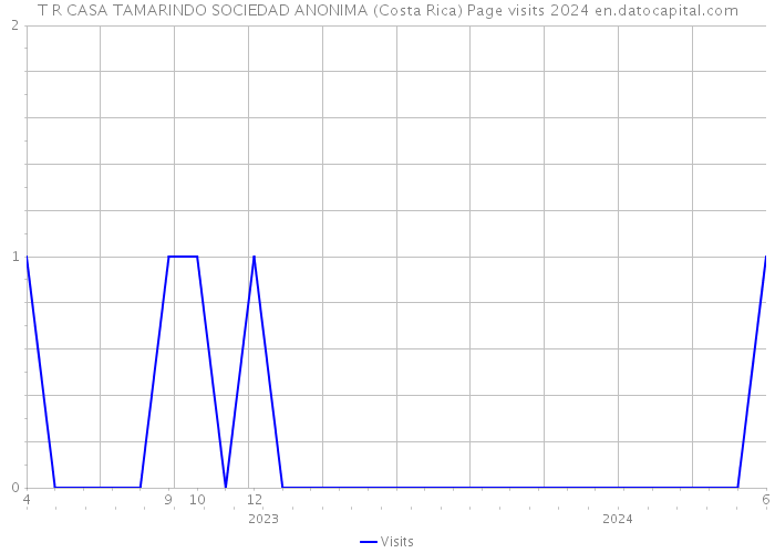 T R CASA TAMARINDO SOCIEDAD ANONIMA (Costa Rica) Page visits 2024 