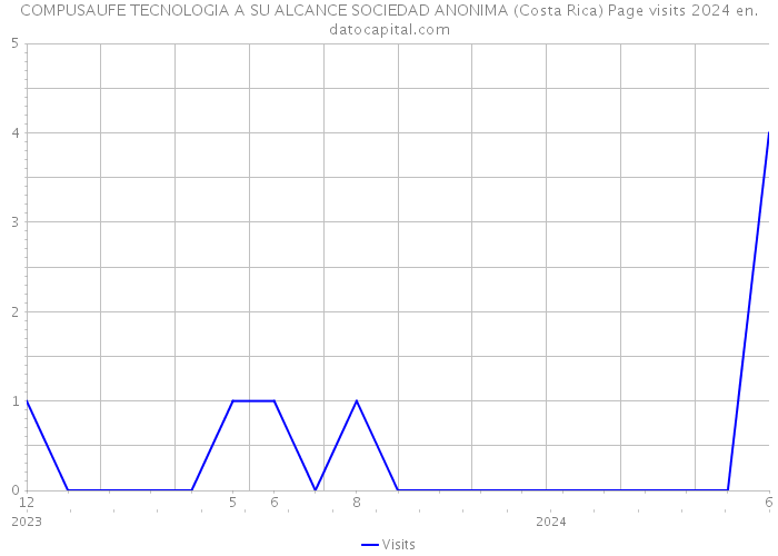 COMPUSAUFE TECNOLOGIA A SU ALCANCE SOCIEDAD ANONIMA (Costa Rica) Page visits 2024 