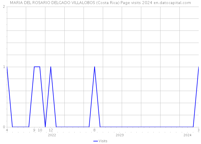 MARIA DEL ROSARIO DELGADO VILLALOBOS (Costa Rica) Page visits 2024 