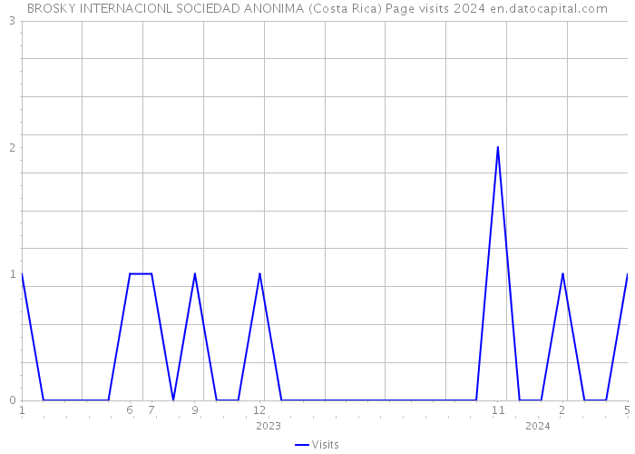BROSKY INTERNACIONL SOCIEDAD ANONIMA (Costa Rica) Page visits 2024 