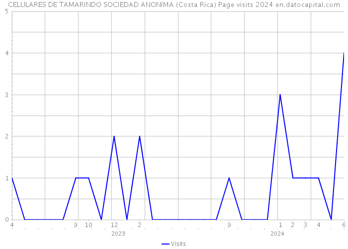 CELULARES DE TAMARINDO SOCIEDAD ANONIMA (Costa Rica) Page visits 2024 