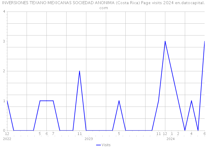 INVERSIONES TEXANO MEXICANAS SOCIEDAD ANONIMA (Costa Rica) Page visits 2024 