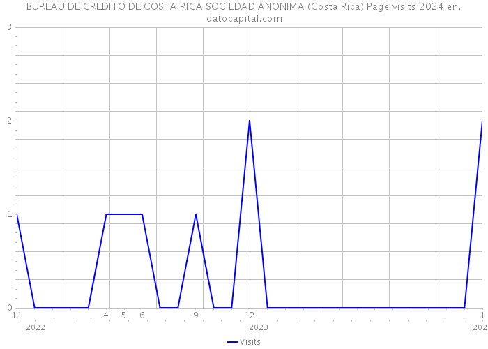 BUREAU DE CREDITO DE COSTA RICA SOCIEDAD ANONIMA (Costa Rica) Page visits 2024 