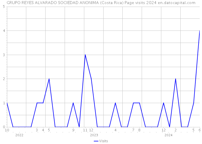GRUPO REYES ALVARADO SOCIEDAD ANONIMA (Costa Rica) Page visits 2024 