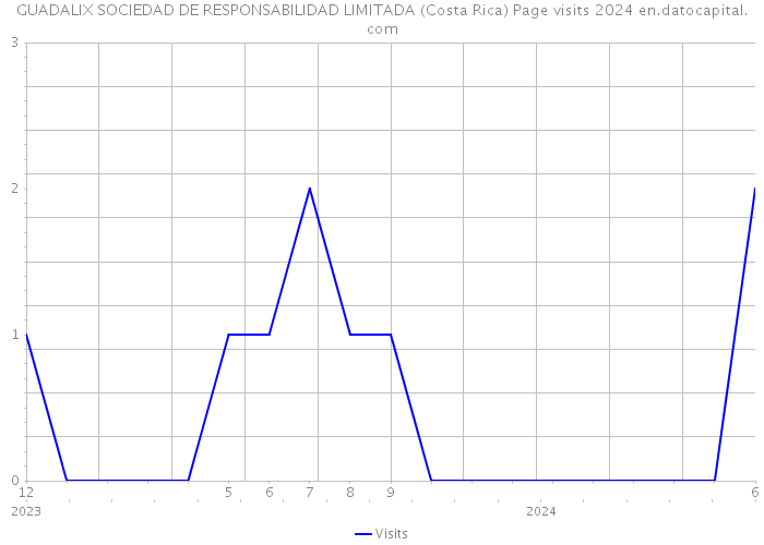 GUADALIX SOCIEDAD DE RESPONSABILIDAD LIMITADA (Costa Rica) Page visits 2024 