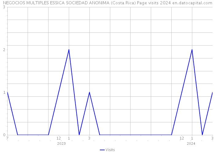 NEGOCIOS MULTIPLES ESSICA SOCIEDAD ANONIMA (Costa Rica) Page visits 2024 