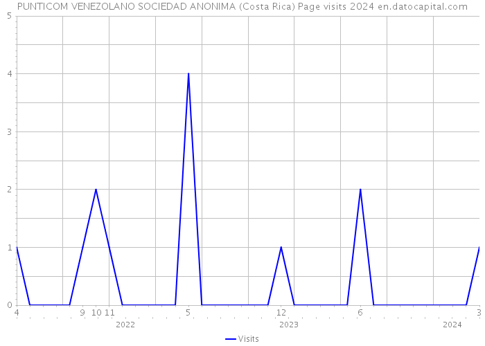 PUNTICOM VENEZOLANO SOCIEDAD ANONIMA (Costa Rica) Page visits 2024 
