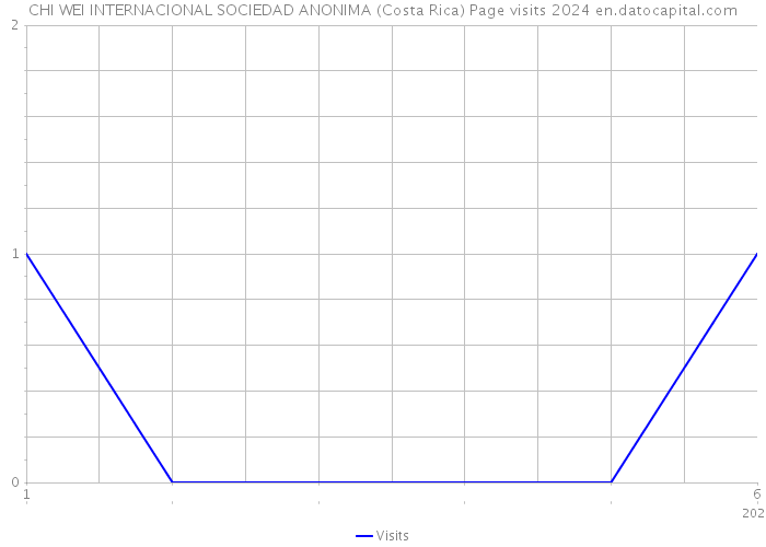 CHI WEI INTERNACIONAL SOCIEDAD ANONIMA (Costa Rica) Page visits 2024 