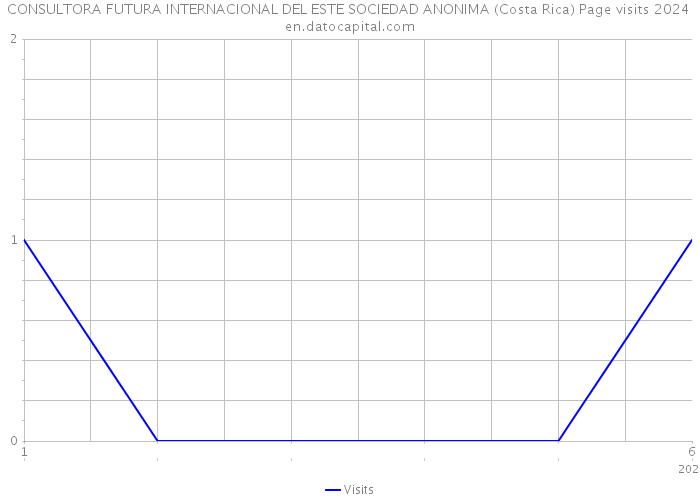 CONSULTORA FUTURA INTERNACIONAL DEL ESTE SOCIEDAD ANONIMA (Costa Rica) Page visits 2024 