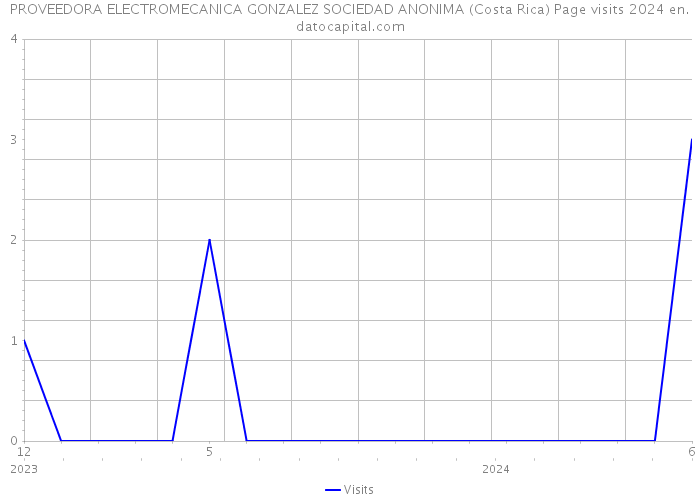 PROVEEDORA ELECTROMECANICA GONZALEZ SOCIEDAD ANONIMA (Costa Rica) Page visits 2024 