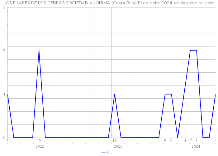LOS PILARES DE LOS CEDROS SOCIEDAD ANONIMA (Costa Rica) Page visits 2024 