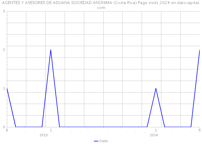 AGENTES Y ASESORES DE ADUANA SOCIEDAD ANONIMA (Costa Rica) Page visits 2024 