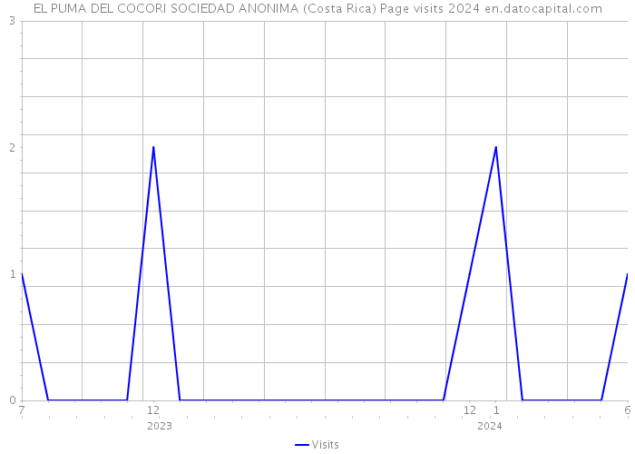 EL PUMA DEL COCORI SOCIEDAD ANONIMA (Costa Rica) Page visits 2024 