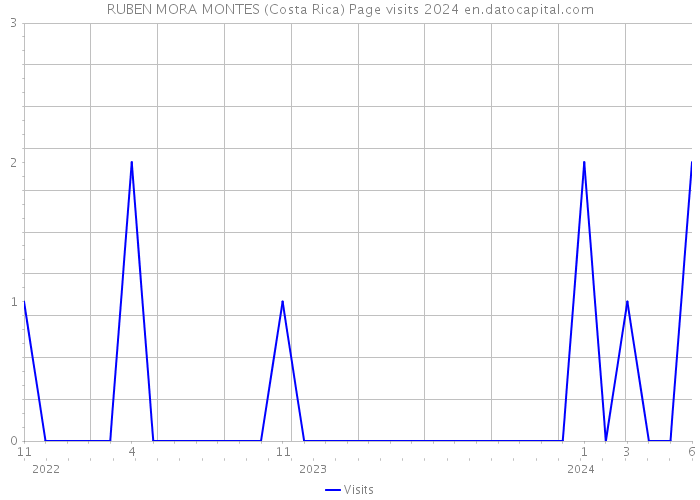 RUBEN MORA MONTES (Costa Rica) Page visits 2024 