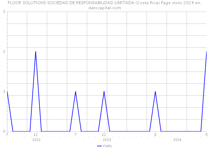 FLOOR SOLUTIONS SOCIEDAD DE RESPONSABILIDAD LIMITADA (Costa Rica) Page visits 2024 