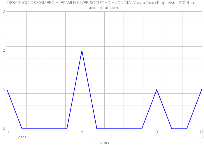 DESARROLLOS COMERCIALES WILD RIVER SOCIEDAD ANONIMA (Costa Rica) Page visits 2024 