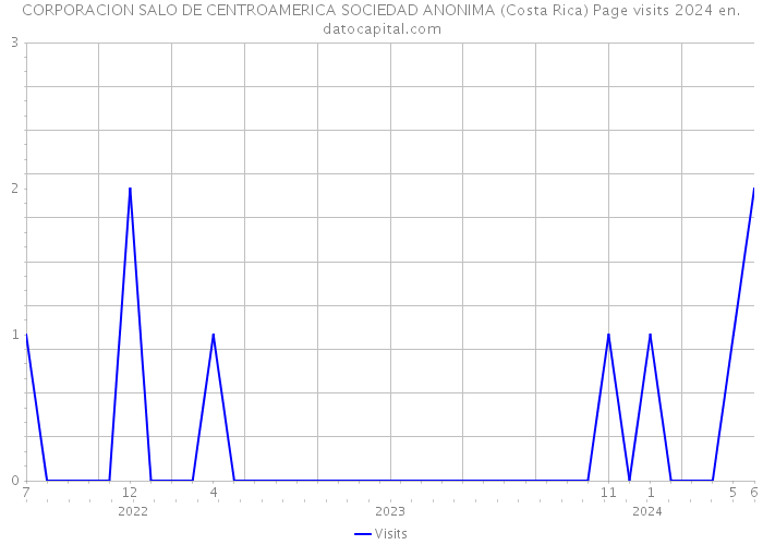 CORPORACION SALO DE CENTROAMERICA SOCIEDAD ANONIMA (Costa Rica) Page visits 2024 