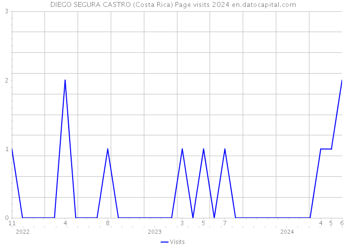 DIEGO SEGURA CASTRO (Costa Rica) Page visits 2024 