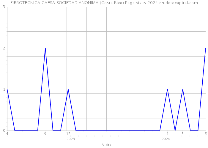 FIBROTECNICA CAESA SOCIEDAD ANONIMA (Costa Rica) Page visits 2024 