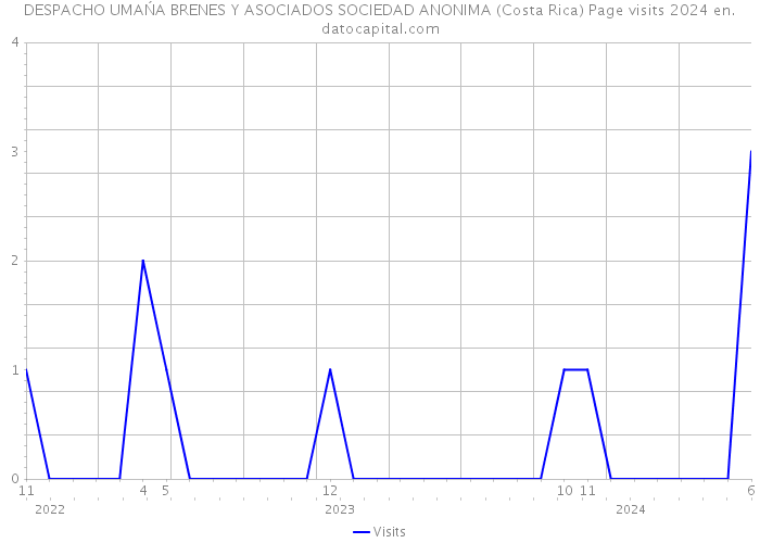 DESPACHO UMAŃA BRENES Y ASOCIADOS SOCIEDAD ANONIMA (Costa Rica) Page visits 2024 