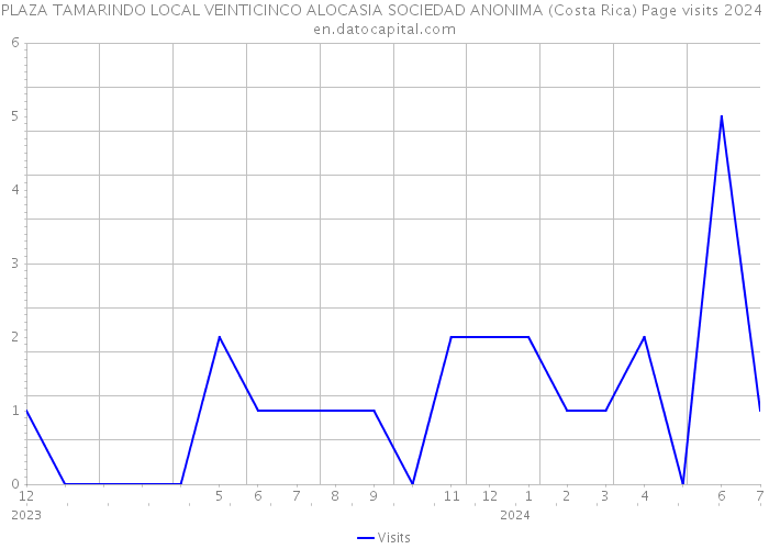 PLAZA TAMARINDO LOCAL VEINTICINCO ALOCASIA SOCIEDAD ANONIMA (Costa Rica) Page visits 2024 