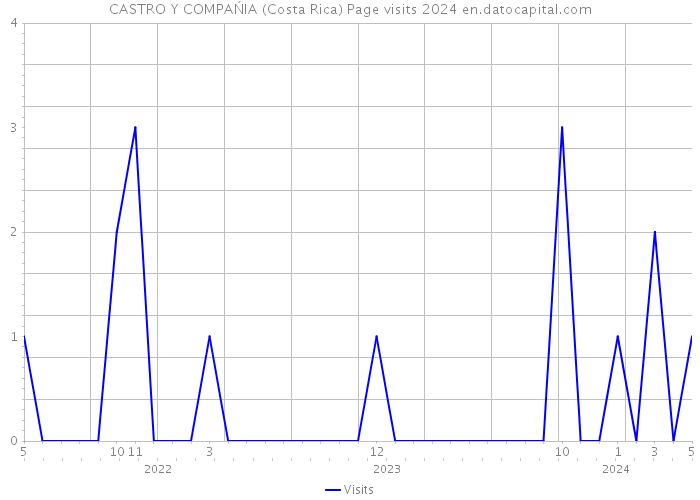 CASTRO Y COMPAŃIA (Costa Rica) Page visits 2024 