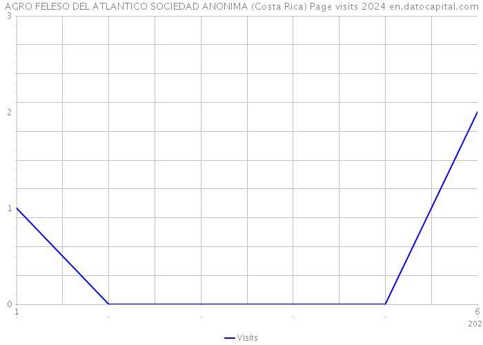AGRO FELESO DEL ATLANTICO SOCIEDAD ANONIMA (Costa Rica) Page visits 2024 