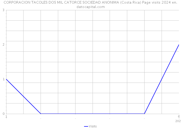 CORPORACION TACOLES DOS MIL CATORCE SOCIEDAD ANONIMA (Costa Rica) Page visits 2024 
