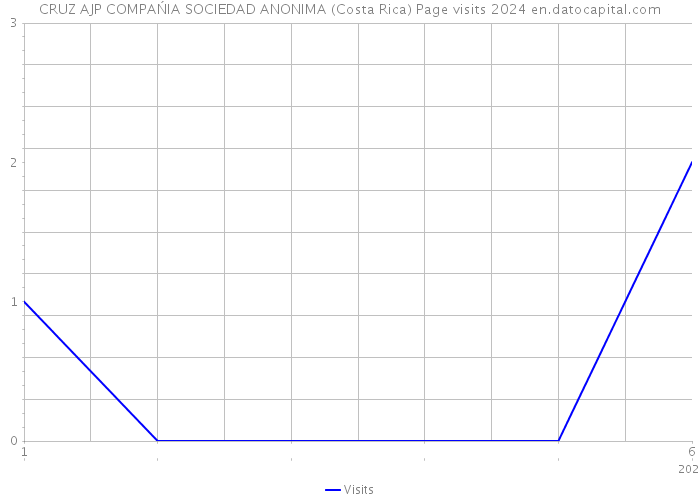 CRUZ AJP COMPAŃIA SOCIEDAD ANONIMA (Costa Rica) Page visits 2024 